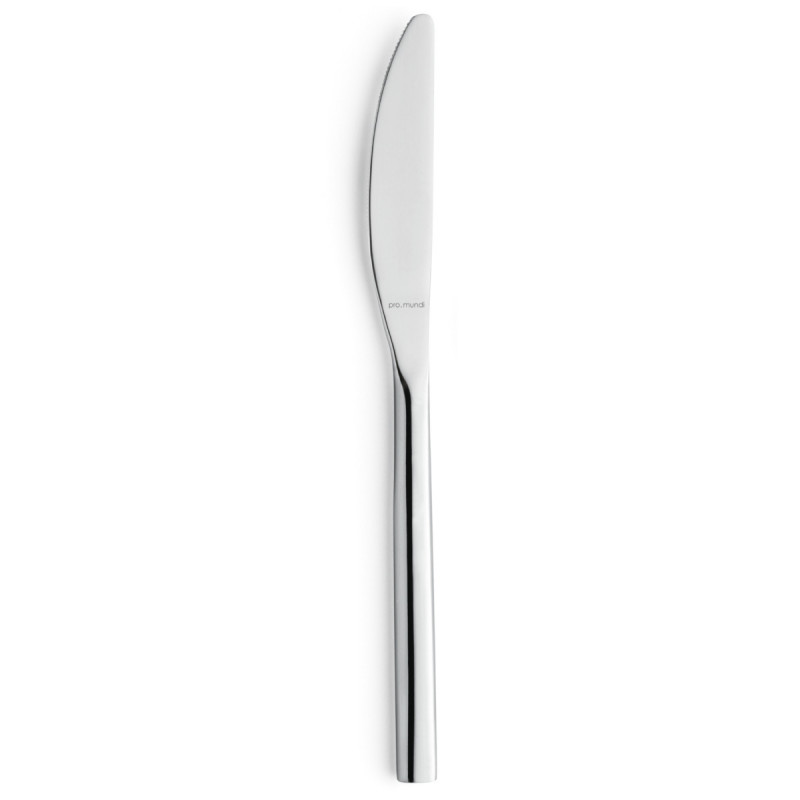 Couteau de table monobloc cranté 21,2 cm Riviera Pro.mundi