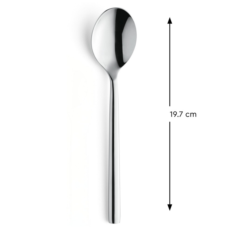 Cuillère de table inox 18/0 19,7 cm Riviera Pro.mundi