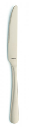 Couteau à dessert or 21 cm Austin Pvd Champagne Amefa