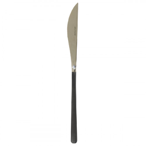Couteau de table monobloc cranté noir 22,7 cm Aroma Pvd Noir Pro.mundi