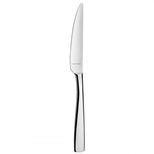 Couteau à dessert monobloc cranté 19,6 cm Odyssee Pro.mundi