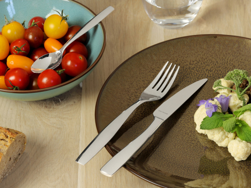 Couteau à dessert monobloc cranté 19,6 cm Odyssee Pro.mundi