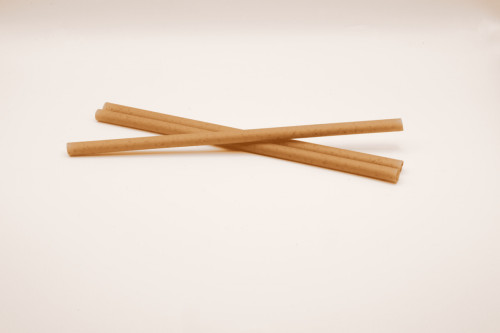 Pailles bagasse Ø 0,8 cm 21 cm Les Nouvelles Pailles (300 pièces)