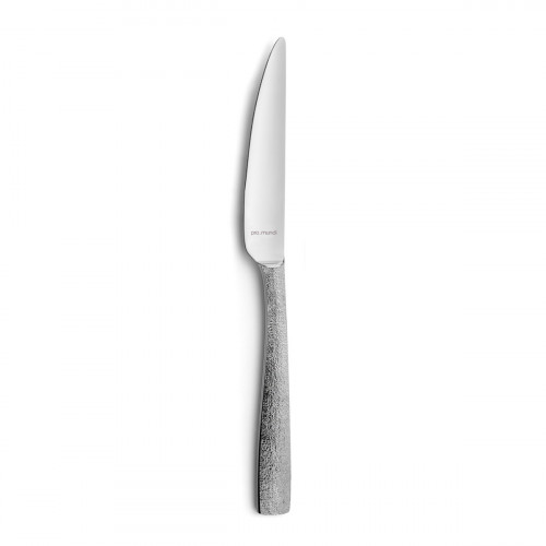 Couteau de table 22 cm Odyssee Ice Pro.mundi