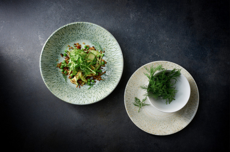 Assiette à bord droit vert porcelaine vitrifiée Ø 26 cm Butterfly Dudson